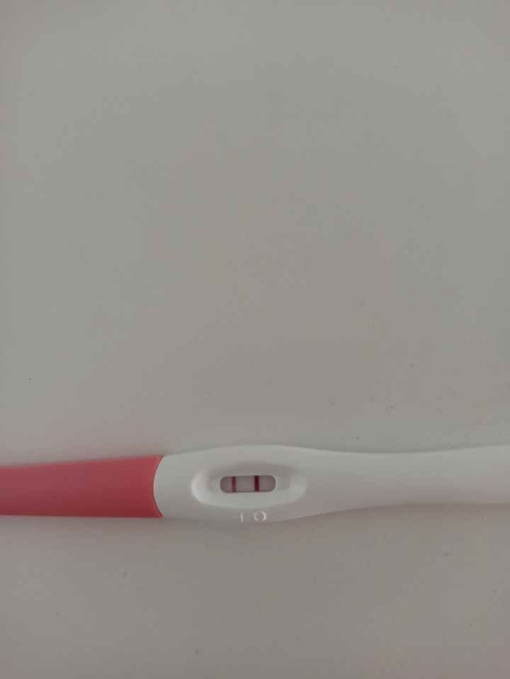 Futuras mamis Junio 2022!! - 2
