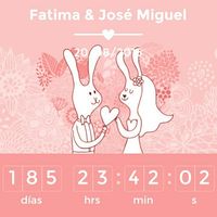 Novios que nos casamos el 20 de Agosto de 2016 en Córdoba - 1