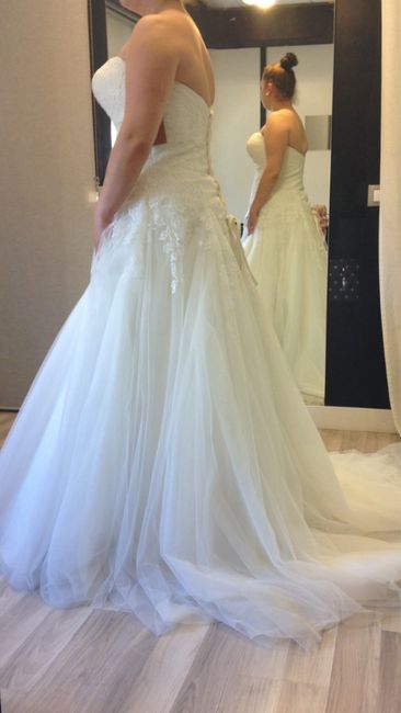 Ya tengo vestido!!! - 2