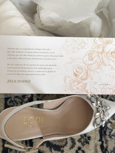 Zapatos Lodi. Vepan galaxia 2