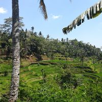 Consejos Bali - 1