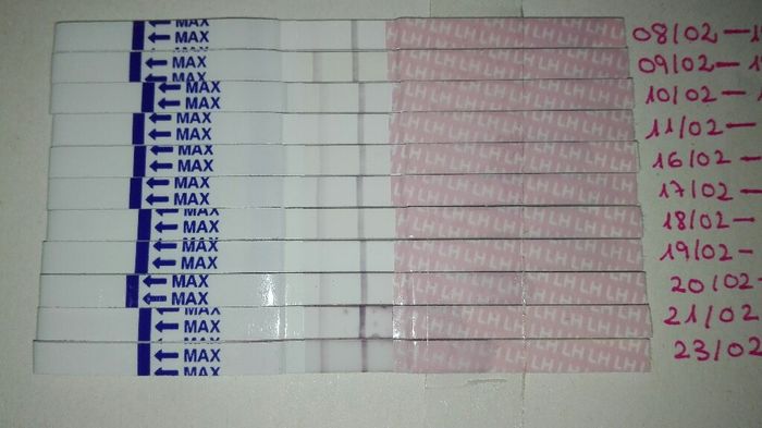 Resuelvo dudas sobre los to (test de ovulacion) - 1