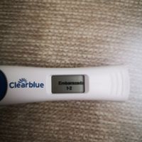 Test de embarazo positivo o línea de evaporación? - 1