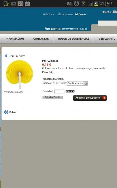 Grupo Paipais a 0.13 iva incluido - 1
