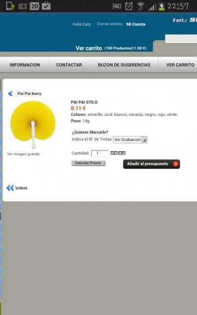 Grupo Paipais a 0.13 iva incluido - 1