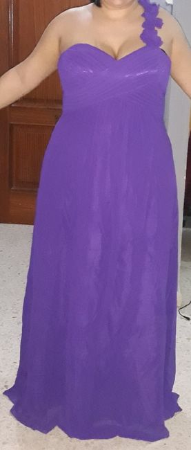 El vestido de mis Damas - 2