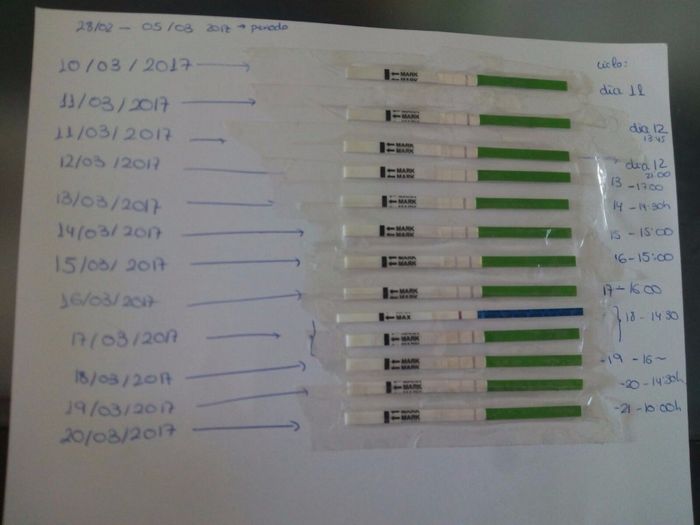 Test ovulación