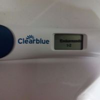 Test Embarazo Positivo
