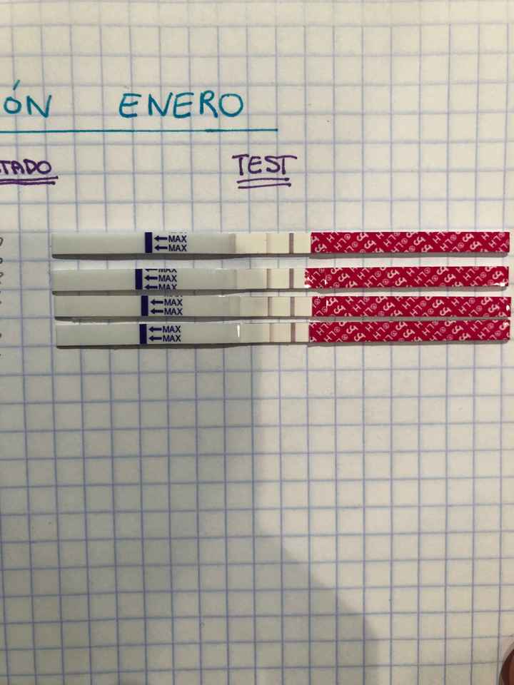 Buscadoras Enero 2020 - 1