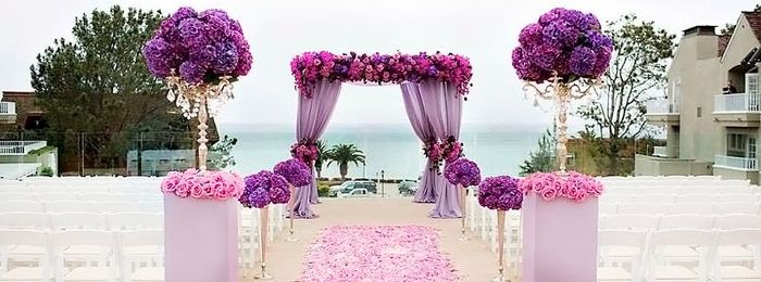 Boda morada