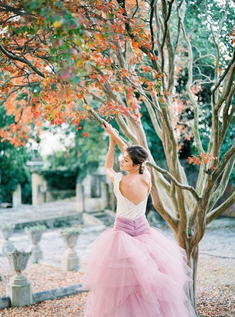 Crónica rosa