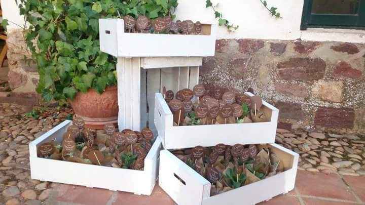 Cestas para los mini cactus - 1