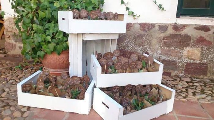 Cáctus o planta suculenta como detalle de boda?? - 1