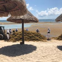 Alguien me recomienda un hotel Rivera Maya? - 1
