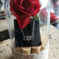 cupula rosa de frente