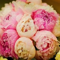 Ramo de peonias
