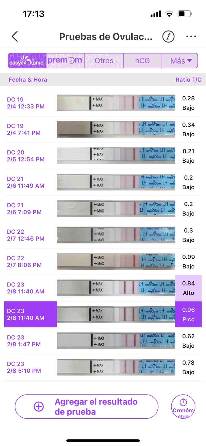 Buscadoras febrero 👑🥐👑🥐👑🥐 - 1
