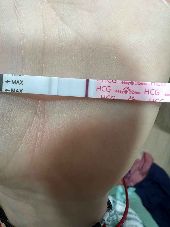 Buscadoras marzo 🌷🌼🌹🌸🌺 - 1