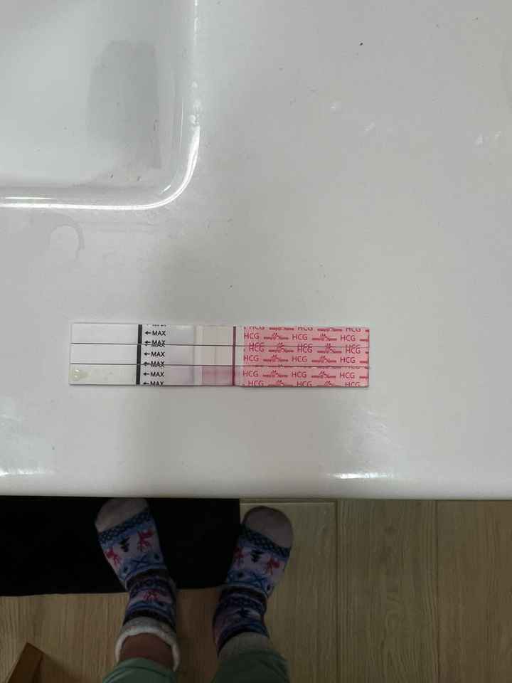 Buscadoras marzo 🌷🌼🌹🌸🌺 - 1