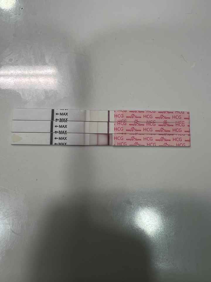 Buscadoras marzo 🌷🌼🌹🌸🌺 - 2