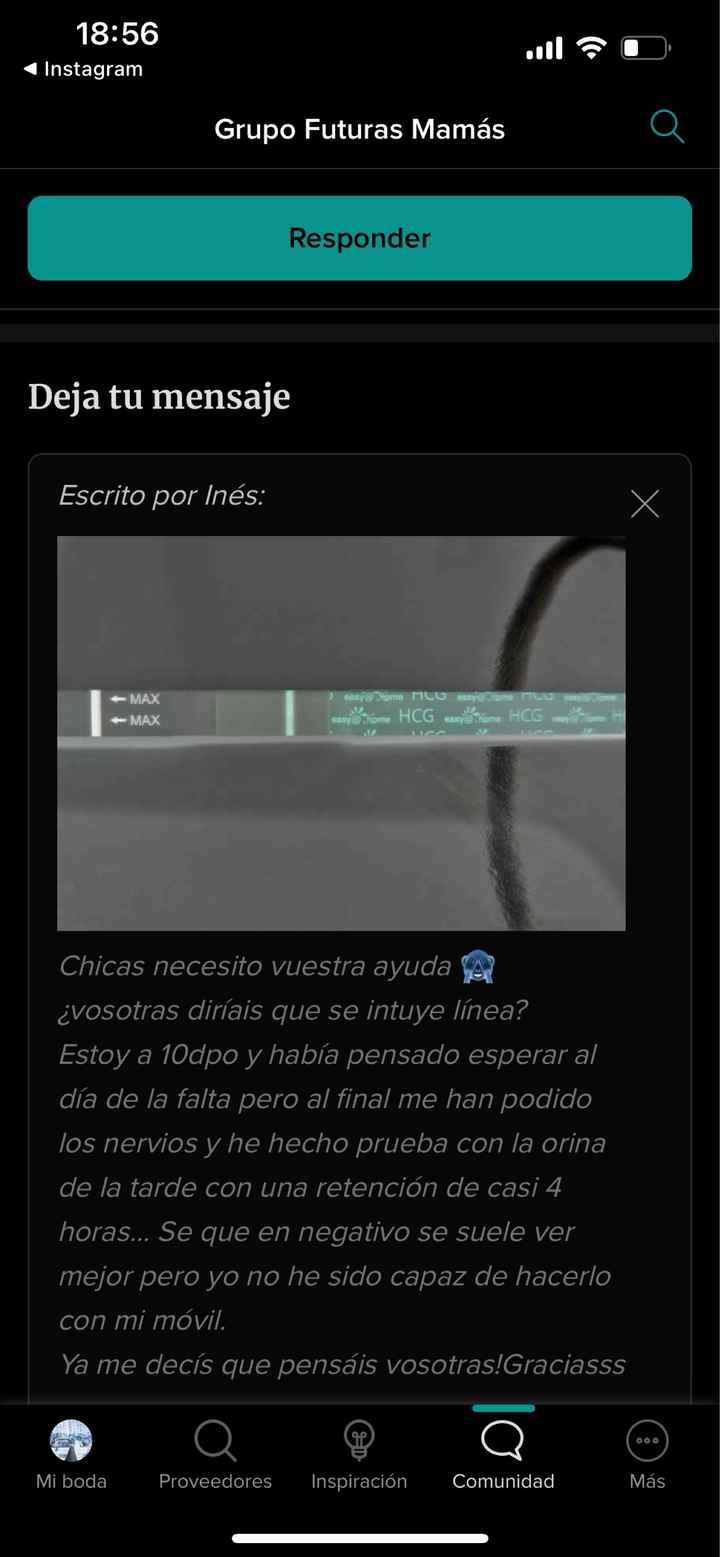 Buscadoras marzo 🌷🌼🌹🌸🌺 - 1