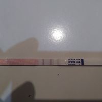  Buscadoras después de uno o varios abortos iii - 1