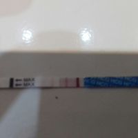 Buscadoras después de uno o varios abortos iii - 2
