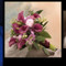 Amapola