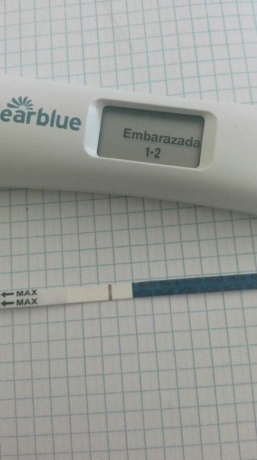 Buscadoras después de uno o varios abortos ii - 1