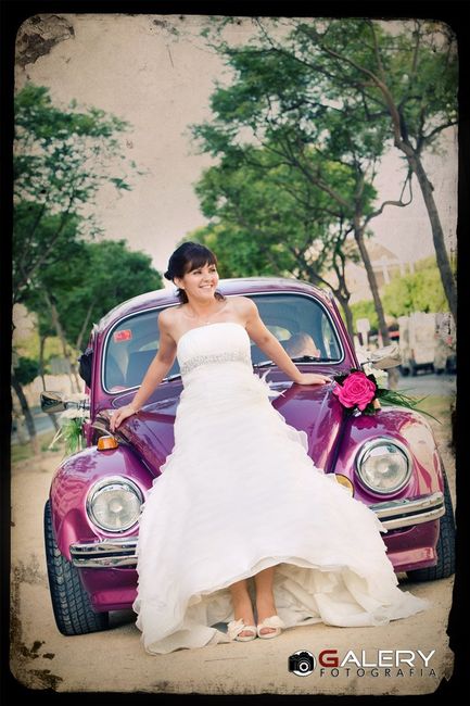 mi coche
