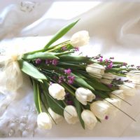 Tulipanes