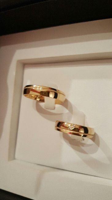 Ya tengo mis alianzas - 2