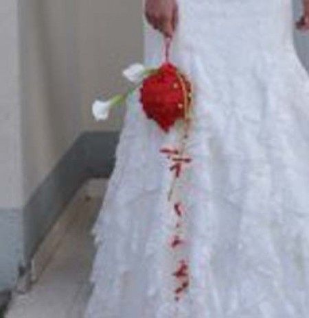 Ya tengo vestido!!!! chicas ¿que os parece el modelo Pelicano de pronovias? - 2