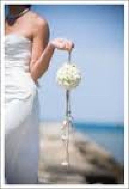 Ya tengo vestido!!!! chicas ¿que os parece el modelo Pelicano de pronovias? - 4