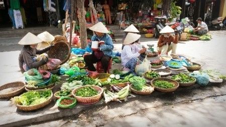 Luna de miel a vietnam & camboya - 5