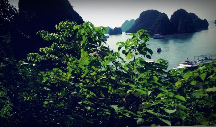 Vietnam-Camboya-Indonesia - 1
