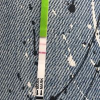 Buscadoras Julio 2018 - 1