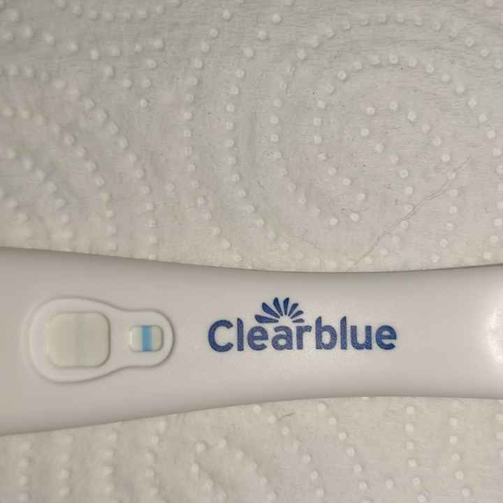Inseminación artificial ¿cómo os fué? - 1