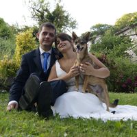 dia despues de la boda