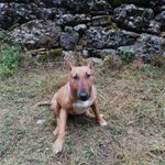 Naiara