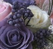 Bolita moradas