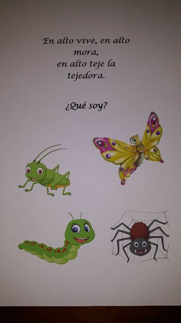 Detalle infantil - 16