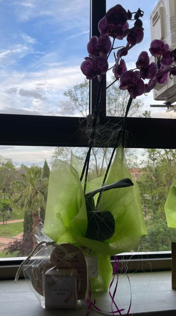 Regalo para mamá - 7