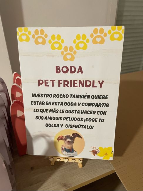 Regalos para los amigos peludos 1