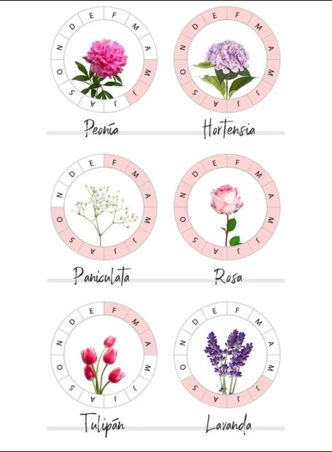 Incluir flores de temporada en el ramo de novia - 1