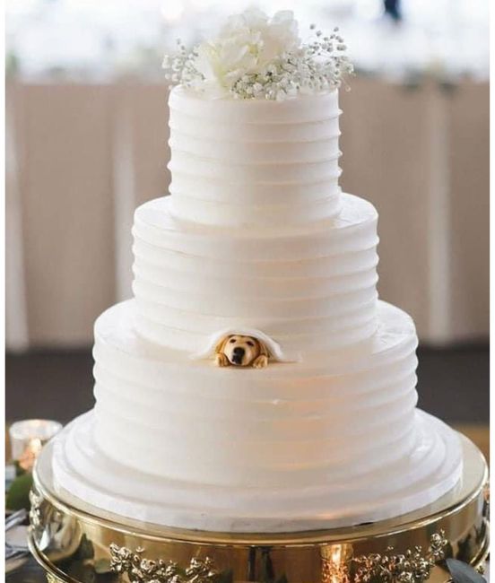 Una tarta muy perruna 5