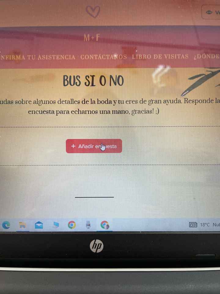 Autobuses en la pagina web - 2