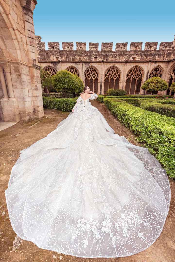 Tipos de colas, cuál es la tuya? 👰🏻‍♀️👗 - 1