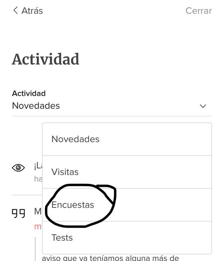 ¡Descubre cómo crear paso a paso tu Web de boda! 👇 - 3