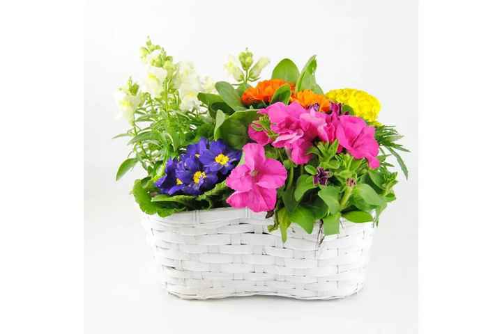 Regalos especiales: los abuelos - 3